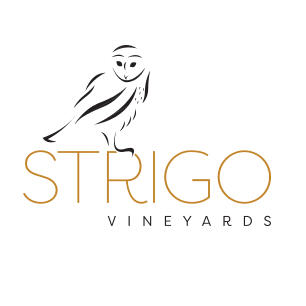 Strigo Vineyards Baldwinsville, NY